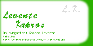 levente kapros business card